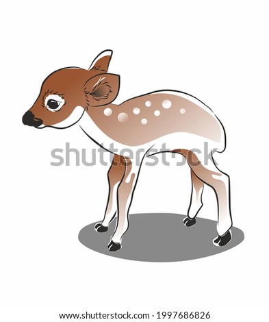 cute little deer very adorable