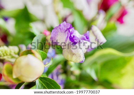 Abstract multicolored floral background texture, close-up flowers and buds