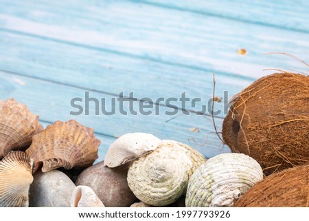 coconuts, rocks and shells on a blue wooden background.Marine theme
