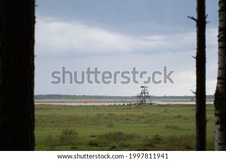 Wooden observation tower for a hunt in rainy day. High quality photo