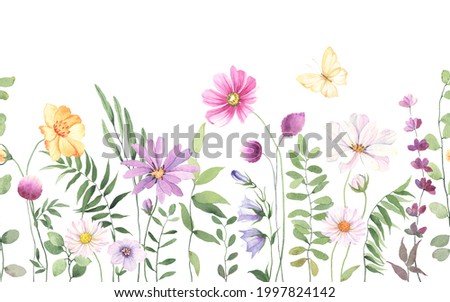 Wildflowers, green wild plants and flying butterfly, floral seamless pattern with colorful flowers, watercolor horizontal border isolated on white background, hand painting illustration summer meadow 