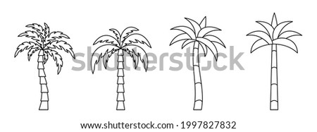 Palm tree icon. Set of linear coconut tree icons. Vector illustration. Palm vector icons. Black linear palm icons