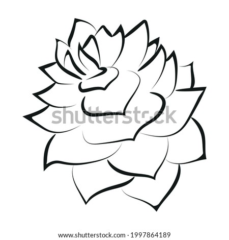 Outline set drawing of cone. Vector illustration.