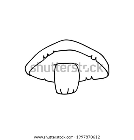 Single hand drawn forest mushroom for autumn decoration. Doodle vector illustration. Isolated on a white background.