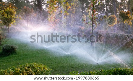 The automatic watering system irrigates lawn grass and other plants in the park at dawn. The sun's rays break through the branches of trees.
