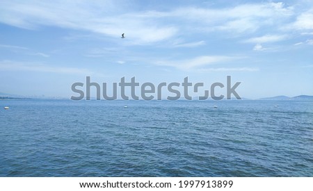 Istanbul kadikoy sea, birds and islands view