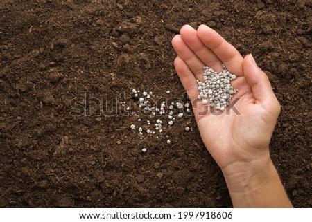Young adult woman palm pouring gray complex fertiliser granules on dark brown soil. Closeup. Product for root feeding of vegetables, flowers and plants. Royalty-Free Stock Photo #1997918606