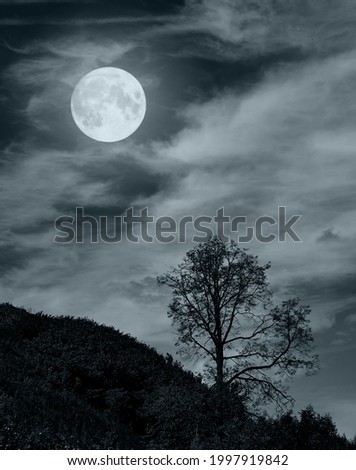 alone tree with moon on cloud sky night landscape