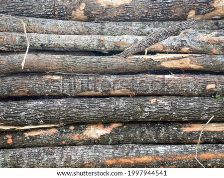 A close-up shot of a stack of freshly cut and harvested raw wood trees.