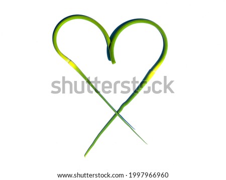 Two sprouts of green garlic laid out in the shape of a heart isolated on a white background.