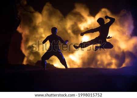 Karate athletes night fighting scene at burning forest. Character karate. Posing figure artwork decoration. Sport concept. Decorated foggy background with light. Selective focus