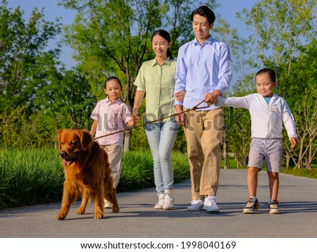 Happy family of four walking dogs in the park high quality photo