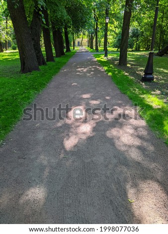 path in the park in the summer during the day.