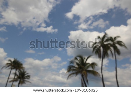 Clear blue sky and  white clouds with coconut trees