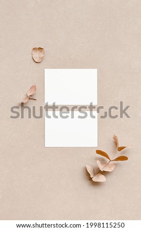 Top view of two white business cards mock up for design template. Empty visit card mockup front and back with natural colors. Logo concept, insert your brand