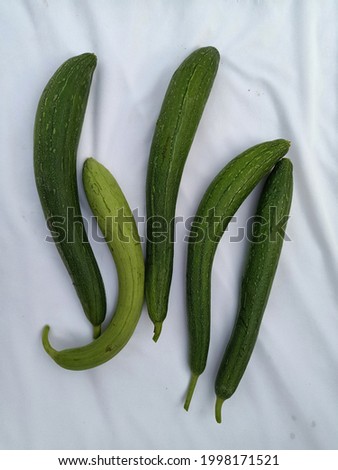 Ridge gourd is a popular vegetable used in Indian cooking. It comes in two variants – one with a smooth surface and other with a ridged surface. this picture was clicked on 26 June 2021.
