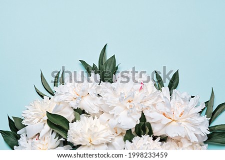 Bouquet of beautiful white peonies on blue background
