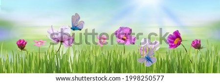 A pink flower with a butterfly on a blurry soft turquoise and green background and green grass.A copy of the space, a blank for a postcard.Spring pattern, magical, fairy-tale panoramic composition