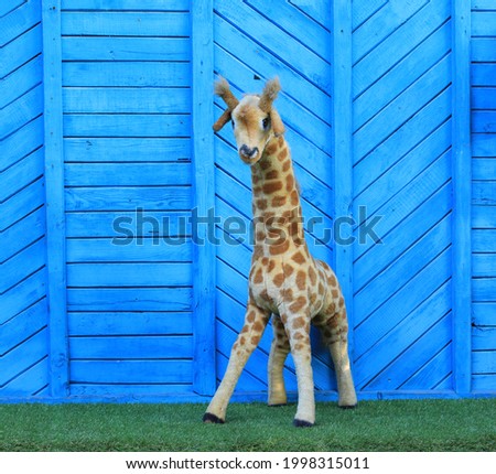 toy plush giraffe on the grass
