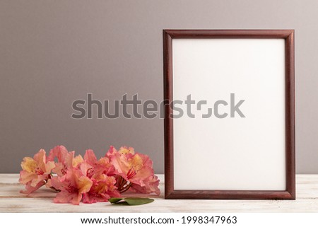 Wooden frame with pink azalea flowers on gray pastel background. side view, copy space, mockup, template, spring, summer minimalism concept.