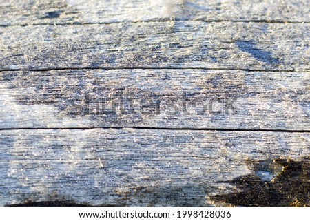 A closeup shot of firewood and wooden background - perfect for background