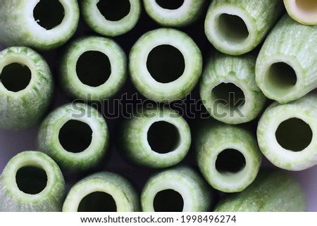 Green Zucchini Background Texture Photo 