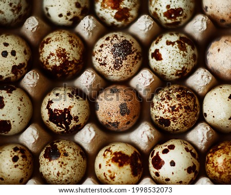 Top view of spotted little raw quail eggs lying in a cardboard store box. Healthy food. A breakfast ingredient.