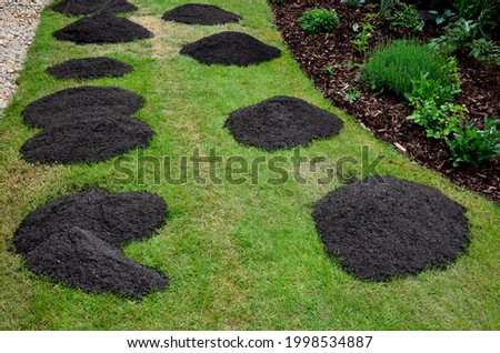 repair of damaged lawns after installation of automatic irrigation. bringing piles of soil and scattering with rakes. lawn sowing and grooving. Royalty-Free Stock Photo #1998534887