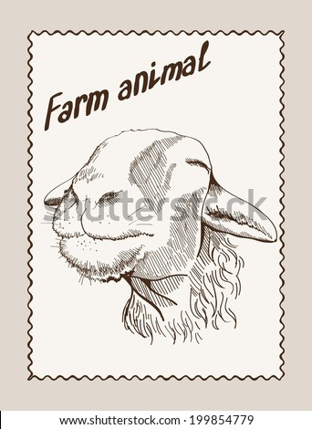 vector sketch of a ewe, made by hand