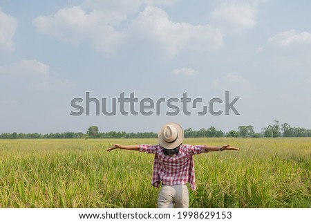 Young woman walking in rice field in thailand. Travelling to clean places of Earth and discovering beauty of nature. Young woman traveler with hat standing.