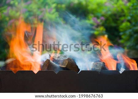 Fire. Firewood is burned on the grill for cooking kebabs