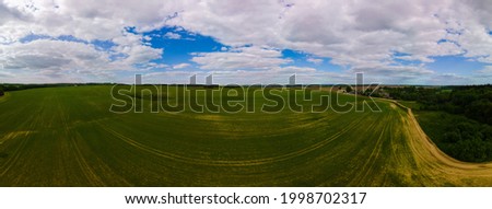 Landscape view from drone, Bright yellow field with rapeseed flowers. Blue sky with white clouds. Texture background for design. 
