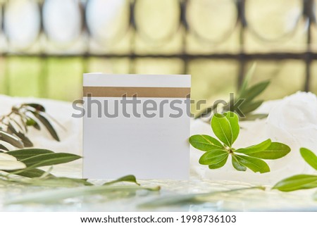 Summer white post card or invitation mockup with green sprig of olive tree. Bright sunny background. Minimalist refreshment tenderness background. High quality photo