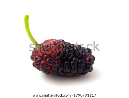 Mulberry berry with leaf isolated on white background macro