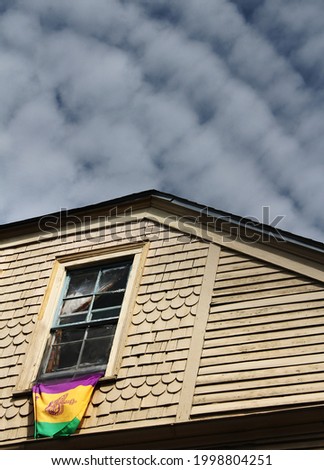 Mardi Gras flag flown on New Orleans home