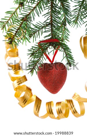 red heart on fir branch with ribbons isolated on white