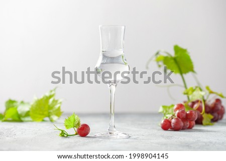 Glass of grappa drink and fresh grapes on the gray background. Alcohol concept Royalty-Free Stock Photo #1998904145
