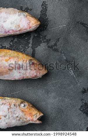 Frozen Goatfish raw fish set, on gray stone table background, top view flat lay , with copy space for text
