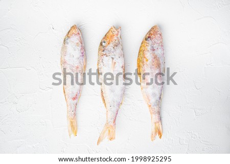 Frozen red mullet or barabulka raw fish set, on white stone table background, top view flat lay