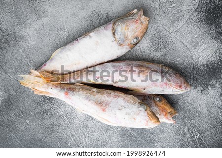 Frozen red mullet or barabulka raw fish set, on gray stone table background, top view flat lay