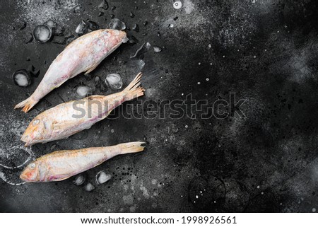 Frozen Goatfish raw fish set, on black dark stone table background, top view flat lay , with copy space for text