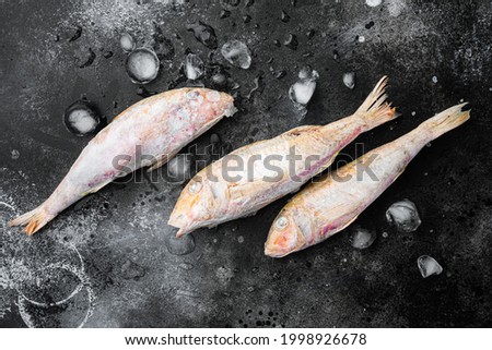 Frozen surmullet  fish set, on black dark stone table background, top view flat lay , with copy space for text