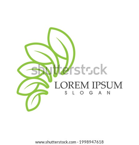 green leaf leaves logo  nature element vector