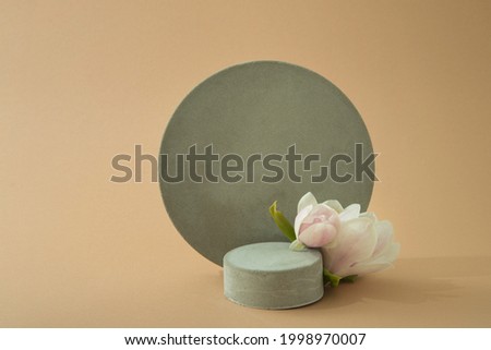 minimalist mockup with concrete shapes and magnolia blooming