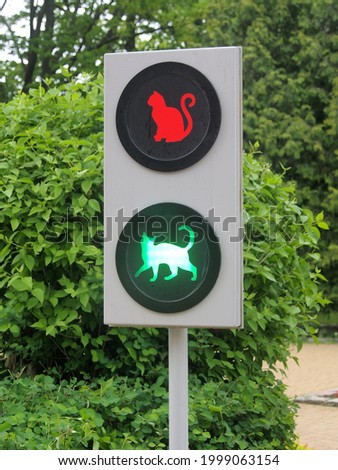 A traffic light for cats, a permissive signal is lit on the scoreboard. Details of the creative solution of urban design.