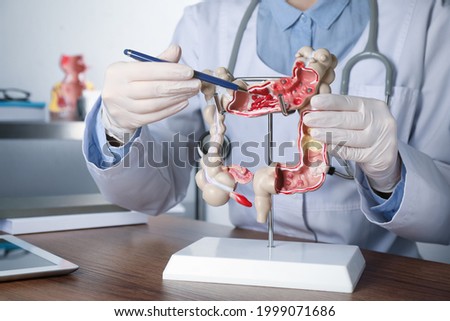 Gastroenterologist showing human colon model at table in clinic, closeup Royalty-Free Stock Photo #1999071686