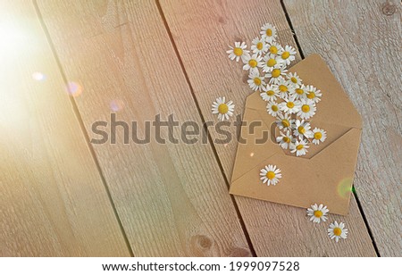 Daisies in a close-up envelope of craft paper on a wooden floor, a horizontal wide banner with free space for a tacts in the style of a rustic