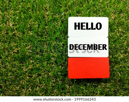 Colorful wooden board with text HELLO DECEMBER on grass background.