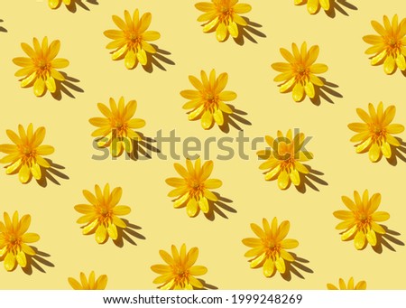 Trendy hard shadow sun light yellow dandelion or chamomile daisy flower on a pastel background. Isometric hot summer or fall seamless pattern wallpaper design. Minimal warm playful funky 90's concept. Royalty-Free Stock Photo #1999248269