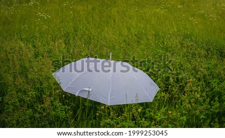 white umbrella on a background of green grass meadows. Spring season. Web banner. For design.